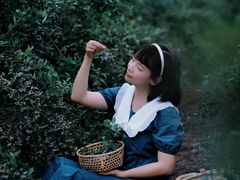 -金谷域澳洲庄园