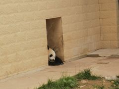 -石家庄市动物园