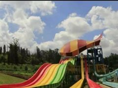 -青鱼湾水上乐园