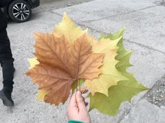 -颐润堂专业养生(五道口华清商务会馆店)