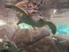 -福州罗源湾海洋世界旅游区