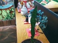 -学习谷日语培训日本留学·多语种外语教学(海淀人大分部)