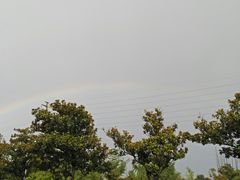 -霸王虾·麻辣小龙虾(清水河公园店)