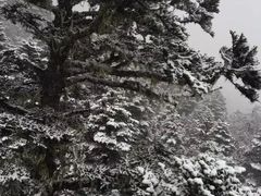 -石卡雪山