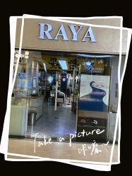 -RAYA韩国造型