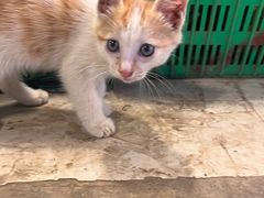 -四川大学(华西校区)