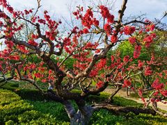 -元大都城垣遗址公园