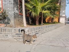 -高旻寺