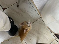 -沙溪兄茶餐厅