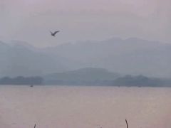 -湖畔居茶楼(湖滨店)