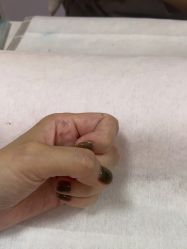 -L Nail轻奢美甲美睫