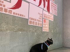 -荔湾湖公园