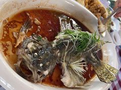 -陶缘一号·四季缘·老字号顺德菜·户外婚礼家宴(西滘店)