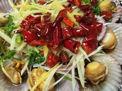 -鲁前海沿儿