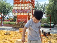 -北戴河集发农业梦想王国
