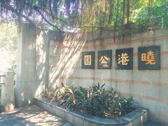 -晓港公园