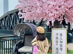 -武汉知音号