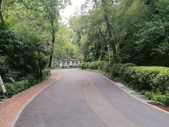 -北极阁公园