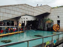 -陕西自然博物馆