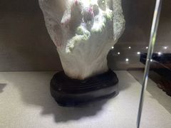 -陕西自然博物馆