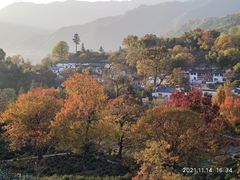 -塔川景区