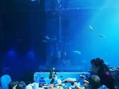 -海棠湾洲际-涛·海底餐厅·美人鱼·自助餐·海底隧道