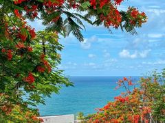 -三亚南山文化旅游区