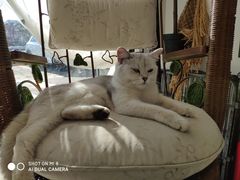 -平行世界·猫咖(首经贸店)