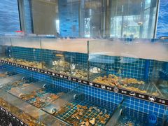 -德尚煌·顺德菜(誉山悠方天地店)