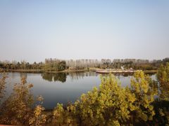 -东郊湿地公园