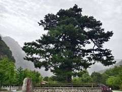 -秦岭终南山世界地质公园翠华山景区