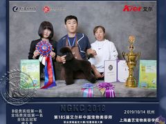 -鑫艺宠物美容培训学校