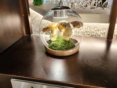 -芸山季·云南山珍菌火锅(人民广场来福士店)