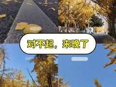 -四川大学(望江校区)