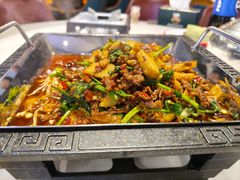 -新概念来凤鱼(璧山店)