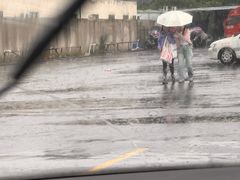-光明驾校·学车·陪驾(杨浦店)