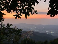 -阳台山森林公园