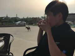 -呼吸森林·生态农庄农家乐私房菜