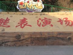 -东方熊牧场