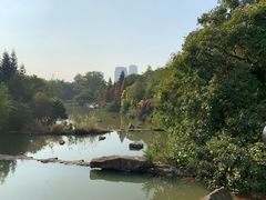 -云溪植物园