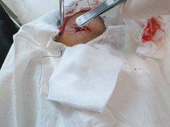 -首都医科大学附属北京天坛医院