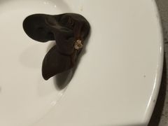 -海底捞火锅(公益西桥店)