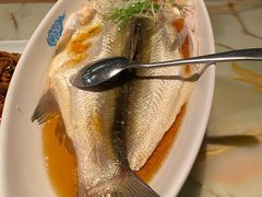 清蒸太湖白鱼-翡翠江南(国贸商城店)