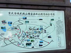 -武陵山森林公园