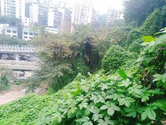 -新都巷步道