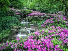 -惠山古镇·寄畅园