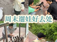 -水上乐园·欢乐世界