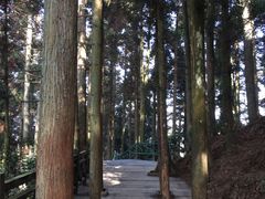 -井冈山风景名胜区