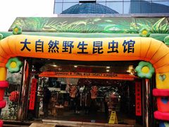 -上海大自然野生昆虫馆(东方明珠·爬宠昆虫探索中心)