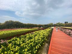 -广东花都香草世界旅游度假区
